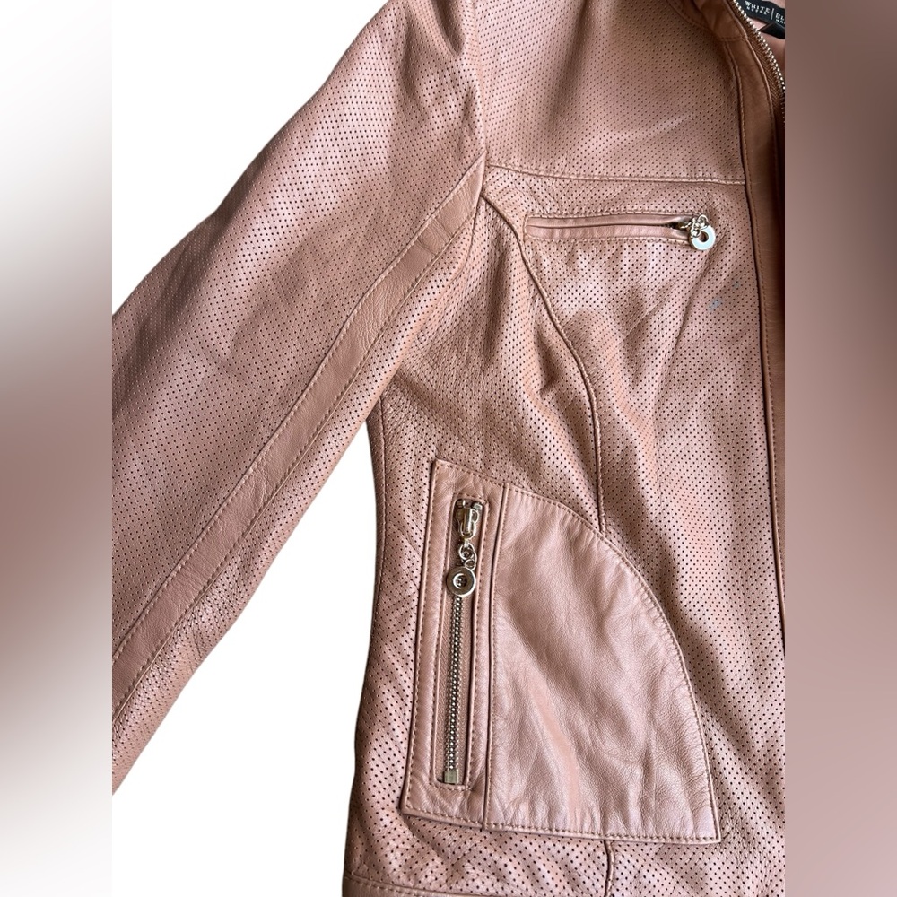White House Black Market Light Mocha 100% Leather Perforated Moto Jacket Sz S - Picture 6 of 11